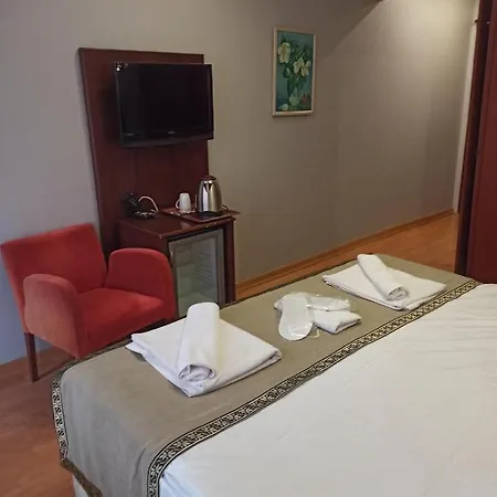 Hotel Hotel Valdivia